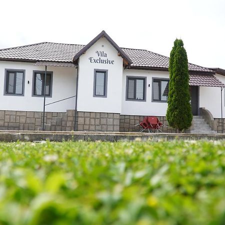 Vila Exclusive Târgu Jiu Exterior photo