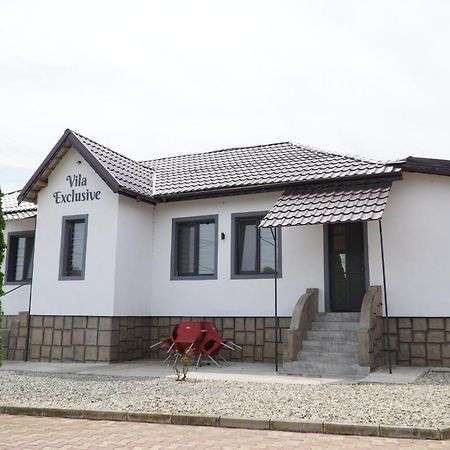Vila Exclusive Târgu Jiu Exterior photo