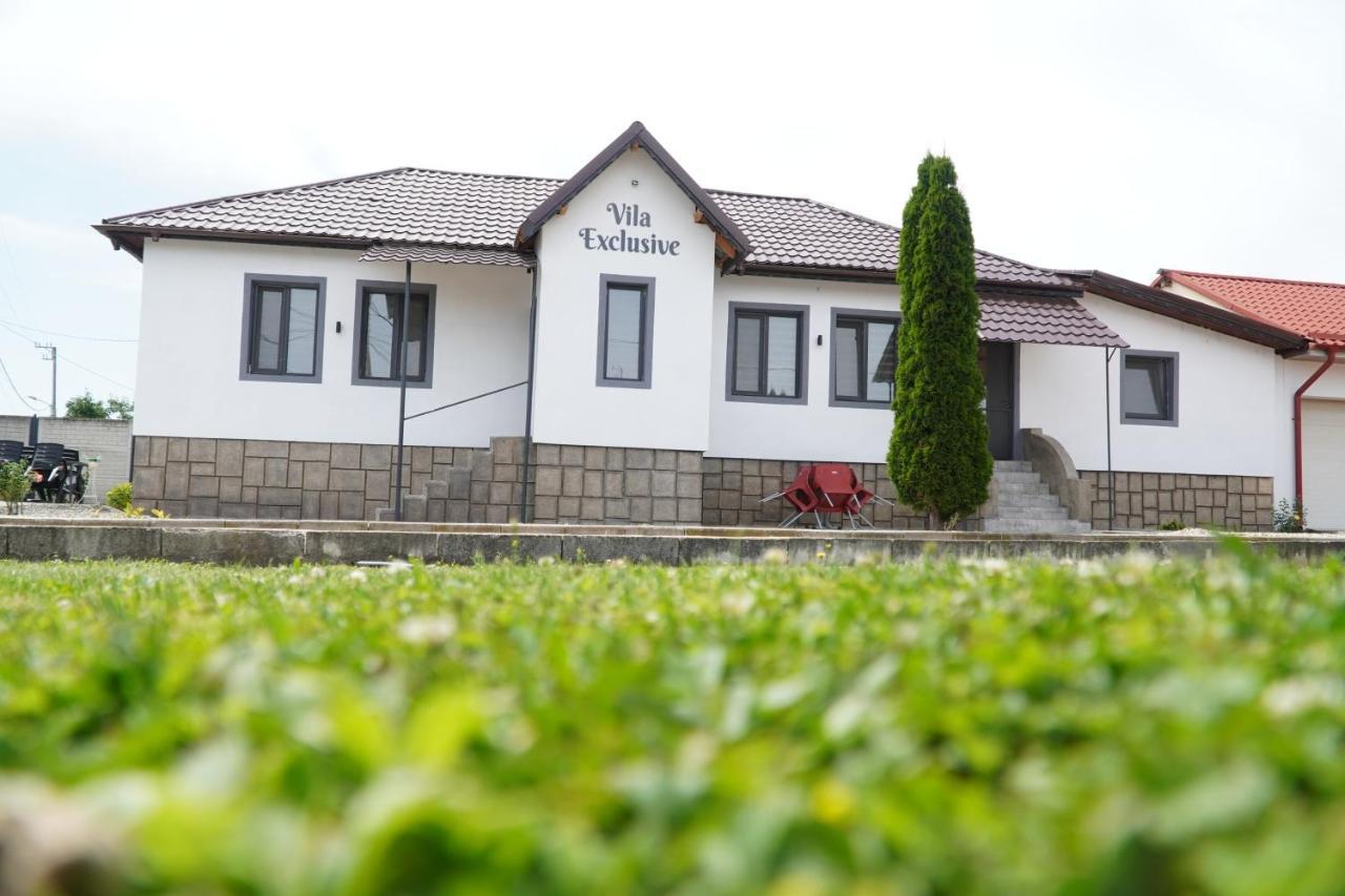 Vila Exclusive Târgu Jiu Exterior photo
