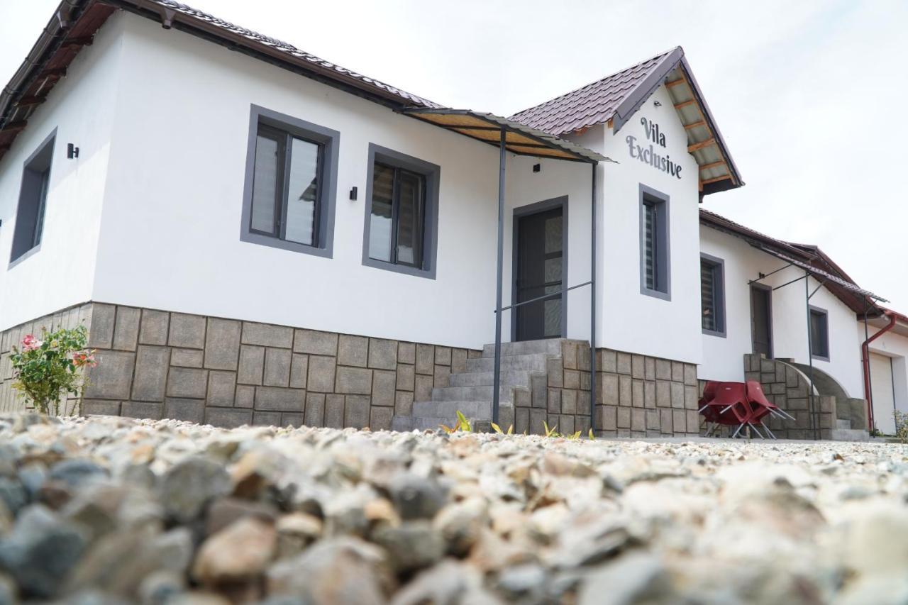 Vila Exclusive Târgu Jiu Exterior photo